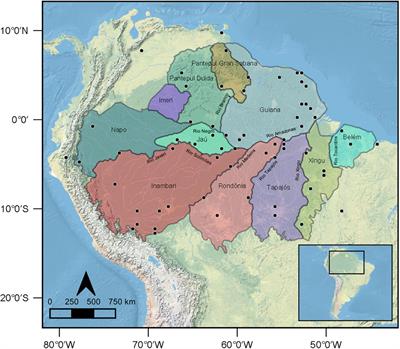 Flying Over Amazonian Waters: The Role of Rivers on the Distribution and Endemism Patterns of Neotropical Bats